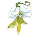 魔花仙子